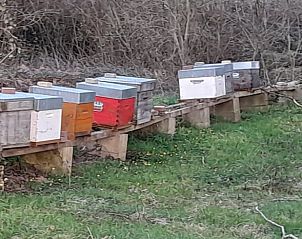 Unterkunft 04517510 - Ferienhaus Center - Huisje in Lignac