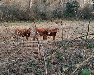 Unterkunft 04517510 - Ferienhaus Center - Huisje in Lignac