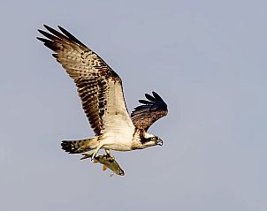 Unterkunft 04517905 - Ferienhaus Center - Huisje in Prissac