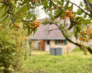 Verblijf 04522905 - Vakantiewoning Centre - Huisje in Sainte-Gemme