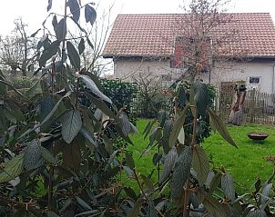 Guest house 045602 - Holiday property Antwerp - Huisje in Lier