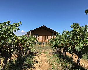 Safaritent met sanitair in Bize-Minervois, Frankrijk, omringd door wijngaarden en natuur.