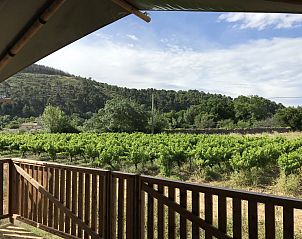 Uitzicht vanaf de veranda van Safaritent incl. sanitair in Bize-Minervois, Languedoc, omringd door groene wijngaarden.