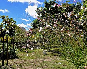 Verblijf 046213301 - Vakantiewoning Languedoc / Roussillon - Le Paradis