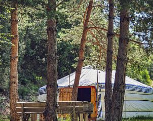 XL Yurt Tent in Fenouillet, Languedoc/Roussillon, omgeven door natuur en rustieke charme.