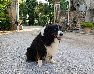 Verblijf 04671201 - Vakantiewoning Languedoc / Roussillon - Loft