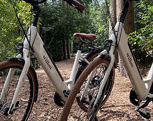 Guest house 047310 - Holiday property Antwerp - Vakantiehuisje in Arendonk