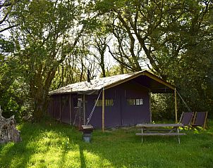 Guest house 04733901 - Tent house Pays de la Loire - Tenthuisje met warme privdouche in de tent