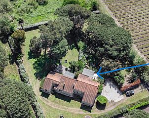 Guest house 04810906 - Holiday property Provence / Cote d'Azur - Les Romarins