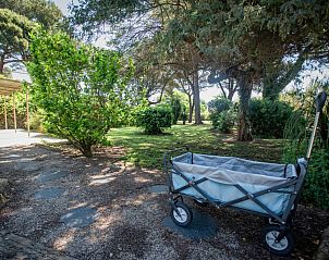 Guest house 04810906 - Holiday property Provence / Cote d'Azur - Les Romarins