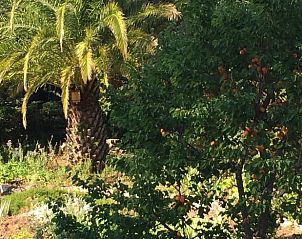 Verblijf 048121002 - Vakantiewoning Provence / Cote d'Azur - Vakantiehuisje in CHATEAUNEUF GRASSE