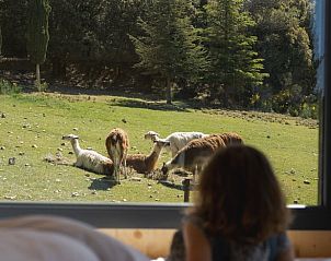 Verblijf 048127301 - Vakantiewoning Provence / Cote d'Azur - Huisje in Le Barroux