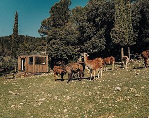 Verblijf 048127301 - Vakantiewoning Provence / Cote d'Azur - Huisje in Le Barroux