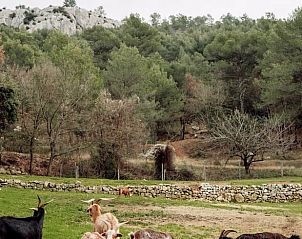 Unterkunft 04819002 - Ferienhaus Provence / Cote d'Azur - Vakantiehuisje in Trets