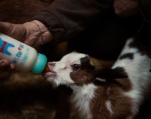 Unterkunft 04819002 - Ferienhaus Provence / Cote d'Azur - Vakantiehuisje in Trets