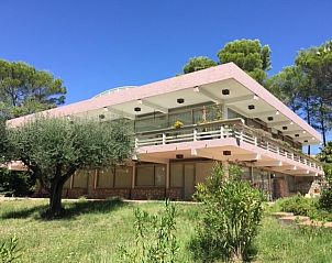 Guest house 048197006 • Holiday property Provence / Cote d'Azur • Villa Les Darrots 