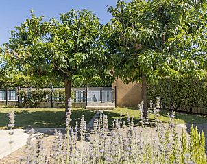 Unterkunft 04827104 - Ferienhaus Provence / Cote d'Azur - Vakantiehuis A l'Ombre du Soleil