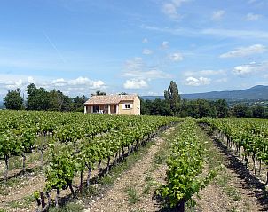 Guest house 04834308 - Holiday property Provence / Cote d'Azur - Vakantiehuis Les Lilas Blancs