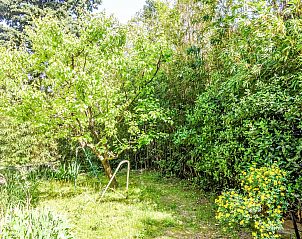 Guest house 0483807 - Holiday property Provence / Cote d'Azur - Vakantiehuis La Cigale