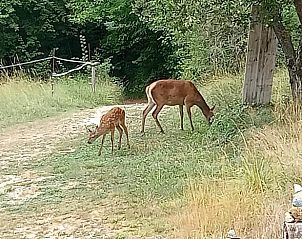 Verblijf 0485902 - Vakantiewoning Provence / Cote d'Azur - Vakantiehuis in Sospel