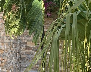 Unterkunft 048599114 - Ferienhaus Provence / Cote d'Azur - Villa Azur