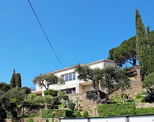 Unterkunft 0488422 - Appartement Provence / Cote d'Azur - Appartement Villa Montemare Dorette