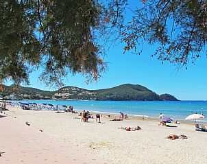 Verblijf 04885337 - Appartement Provence / Cote d'Azur - Appartement La Sirene