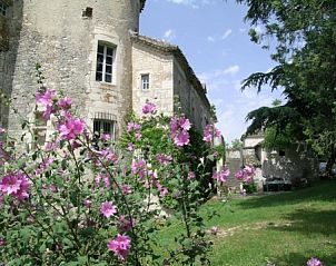 Chteau d' Aix vakantiehuis in Lot Saux, Midi-Pyrnes, omgeven door bloeiende natuur en historische charme.