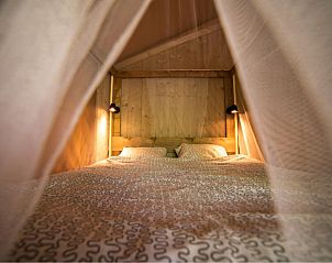 Unterkunft 0491211 - Ferienhaus Midi-Pyrenees - Safari Lodge + Teeny Lodge