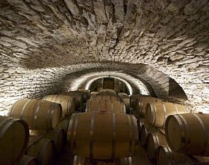 Verblijf 04925307 - Vakantiewoning Midi / Pyrenees - Huisje in Thedirac