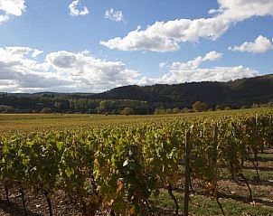 Verblijf 04925307 - Vakantiewoning Midi / Pyrenees - Huisje in Thedirac