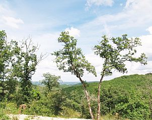 Guest house 04939705 - Holiday property Midi / pyrenees - Vakantiehuis L'Orme