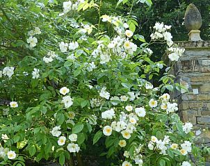 Verblijf 04948501 - Vakantiewoning Midi / Pyrenees - Vakantiehuis in Oust