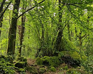 Unterkunft 04951505 - Ferienhaus Midi-Pyrenees - Vakantiehuis in Le Bez