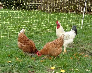 Guest house 04958101 - Holiday property Midi / pyrenees - Vakantiehuis in Saint-Cirgues