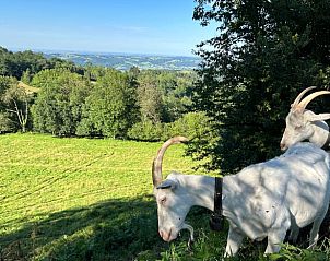 Verblijf 04960602 - Vakantiewoning Midi / Pyrenees - Huisje in Castelnau Durban