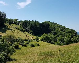 Genieen Sie einen atemberaubenden Blick auf die grnen Hgel rund um das Ferienhaus in Castelnau-Durban in den Midi-Pyrenen, Frankreich.