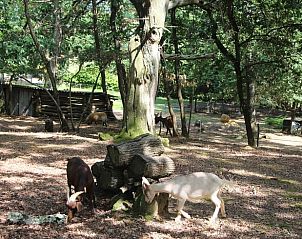 Unterkunft 04961002 - Ferienhaus Midi-Pyrenees - Huisje in Gensac de Boulogne