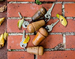 Guest house 050137 - Bed and Breakfast Schiermonnikoog - Pension Westerburen