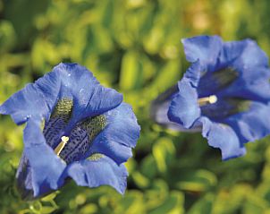 Unterkunft 05026916 - Appartement Rhone-Alphes - Appartement Le Tetras