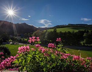 Verblijf 0503107 - Appartement Zwarte Woud - Kornbauernhof