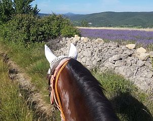 Guest house 0503202 - Holiday property Rhone-Alphes - Huisje in Saint-Maurice-d'Ibie