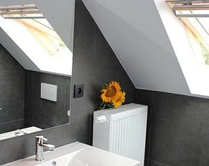 Lichte badkamer in Etsrike vakantiehuis in Halen, Limburg met dakraam en stijlvolle wastafel.