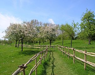 Unterkunft 051832 - Ferienhaus Limburg - Servaeshoeve