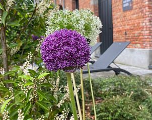 Verblijf 05235803 - Vakantiewoning Nord / Pas de Calais - Vakantiehuis in Walincourt