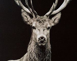 Verblijf 05235803 - Vakantiewoning Nord / Pas de Calais - Vakantiehuis in Walincourt