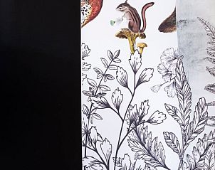 Verblijf 05235803 - Vakantiewoning Nord / Pas de Calais - Vakantiehuis in Walincourt