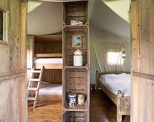 Verblijf 05236202 - Tenthuis Nord / Pas de Calais - Tenthuisje met warme privédouche naast de tent