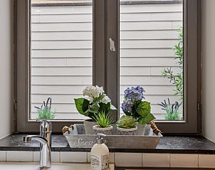 Unterkunft 0523804 - Ferienhaus Limburg - Bibi Tongeren