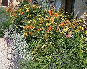 Guest house 05413454 - Holiday property Aquitaine - Gite de Lafurette